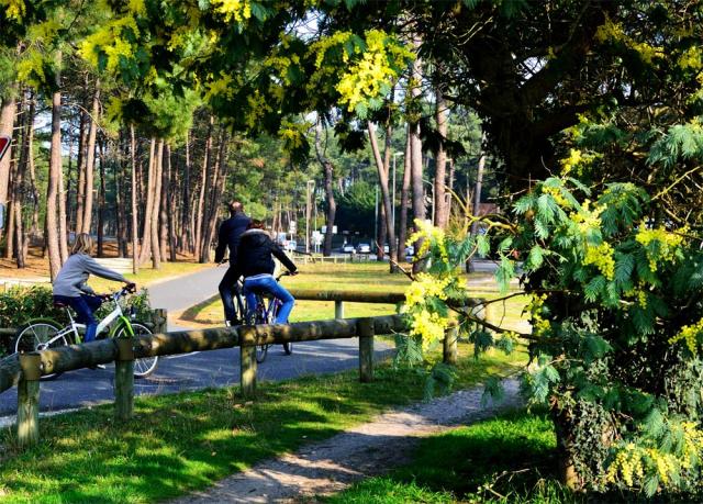 Photos for house 643456