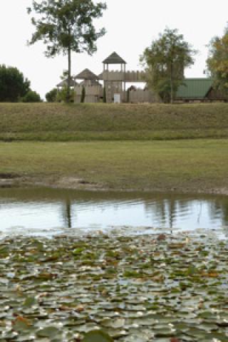 Photos for house 643457