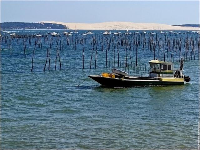 Photos for house 643457