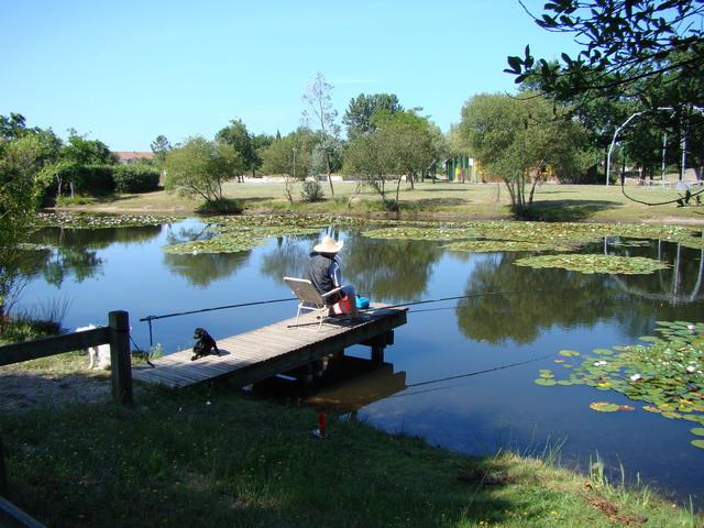 Photos for house 643457