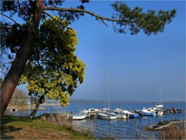 Photos for house 643457