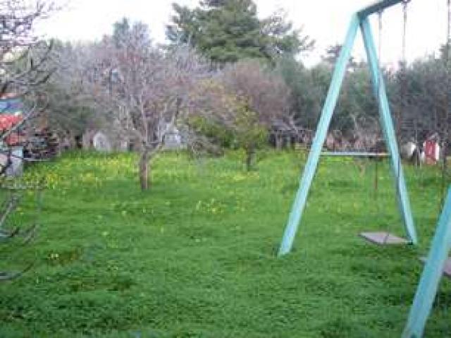 Photos for house 643458