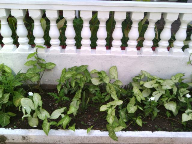 Photos for house 643459