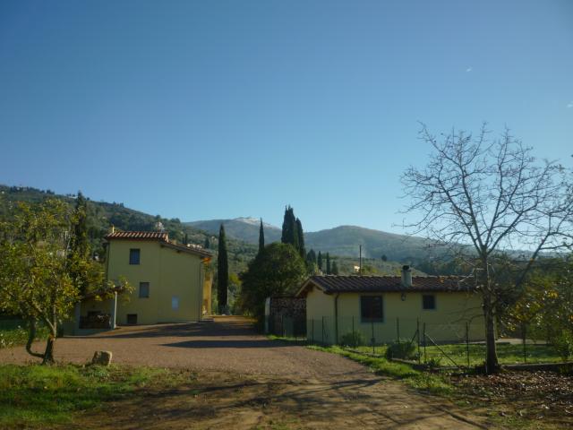 Photos for house 643463