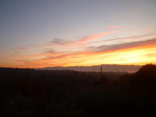 Photos for house 643463