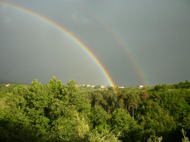 Photos for house 643463