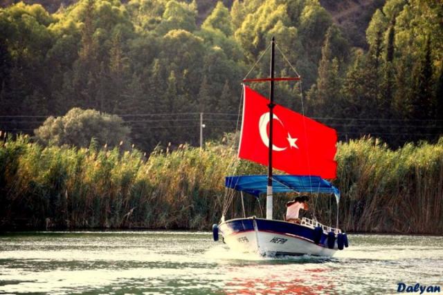 Photos for house 643465