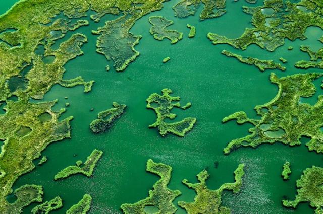 Photos for house 643465