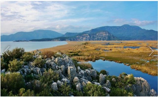 Photos for house 643465