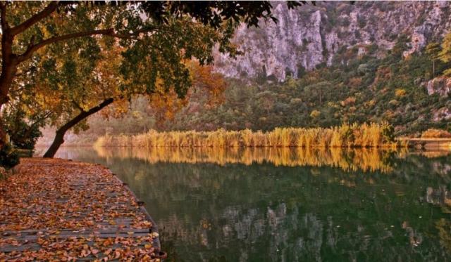 Photos for house 643465