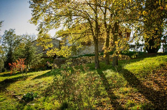 Photos for house 643468