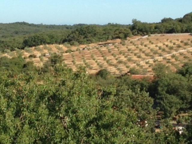 Photos for house 643471