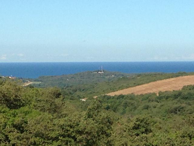 Photos for house 643472