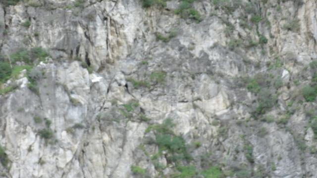 Photos for house 643473