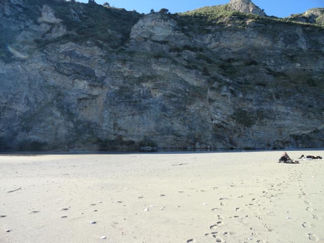 Photos for house 643473