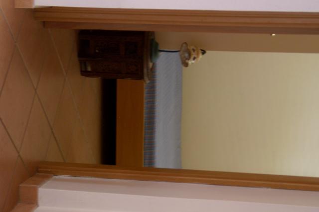 Photos for house 643473