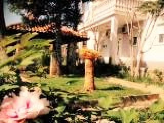 Photos for house 643503