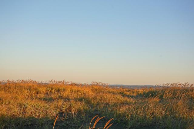 Photos for house 643507