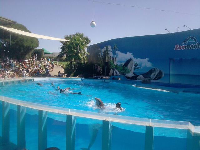 Photos for house 643533