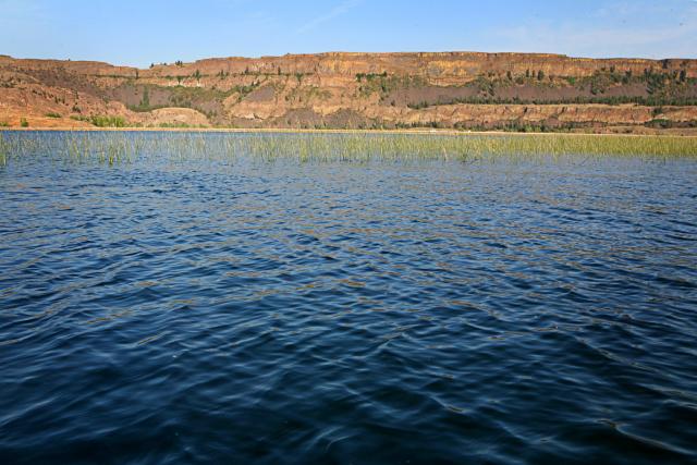 Photos for house 643541