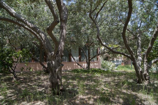 Photos for house 643543