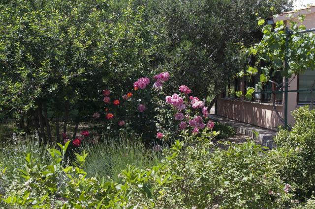 Photos for house 643543