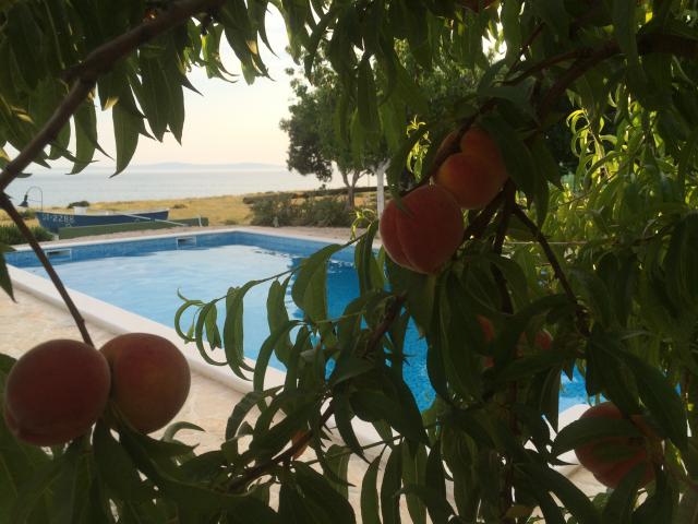 Photos for house 643543