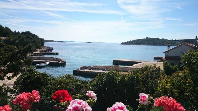 Photos for house 643545