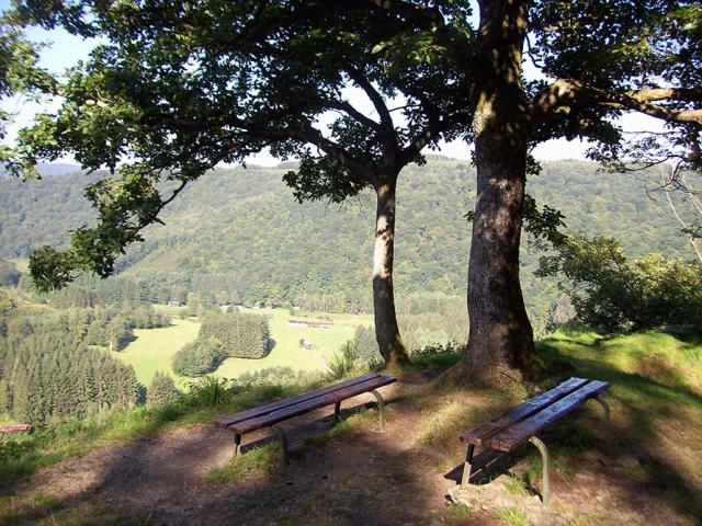 Photos for house 640355