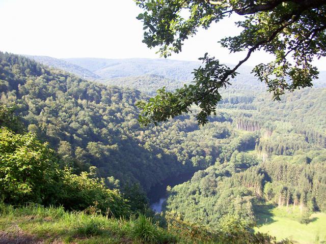 Photos for house 640355