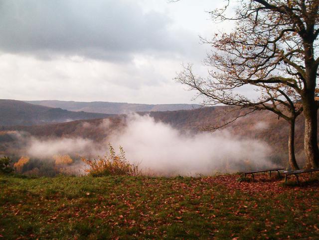 Photos for house 640355