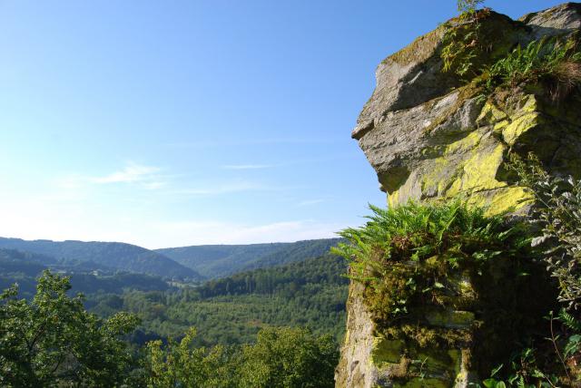 Photos for house 640355