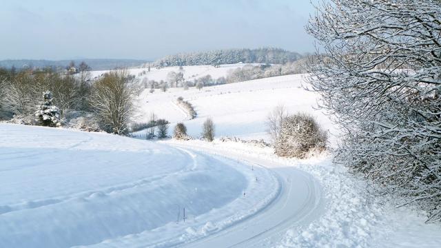 Photos for house 640355