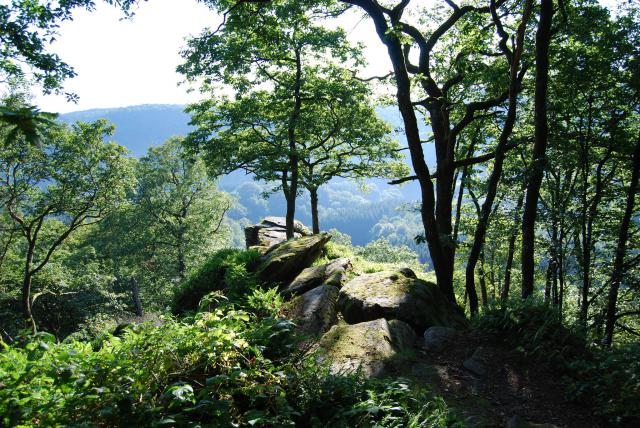 Photos for house 640355