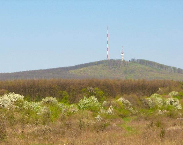 Photos for house 643551