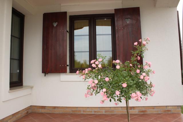 Photos for house 643551