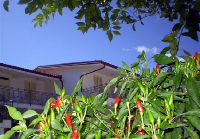 Photos for house 643568