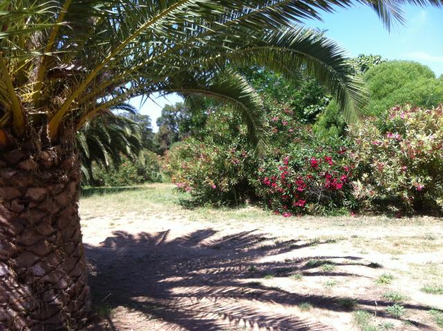 Photos for house 643572