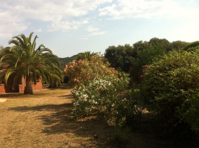 Photos for house 643572