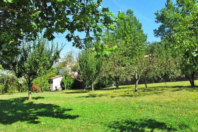 Photos for house 643574