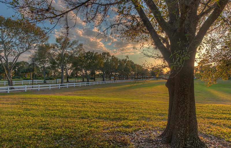 Photos for house 643596