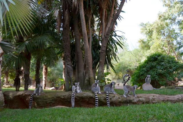 Photos for house 643629