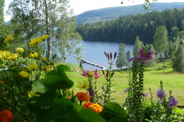 Photos for house 643639