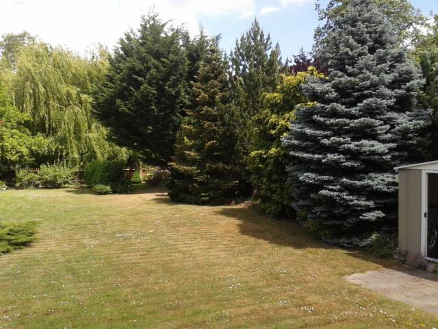 Photos for house 643664