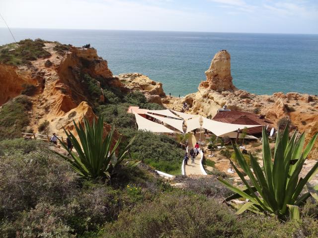 Photos for house 643676