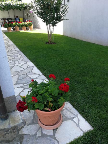 Photos for house 643701