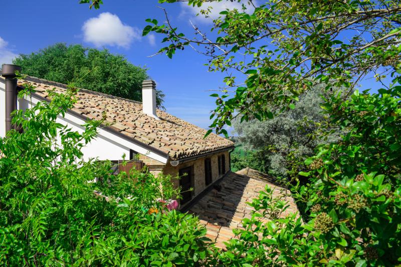 Photos for house 643707