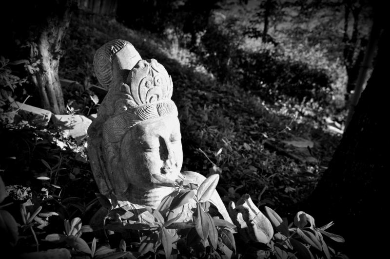 Photos for house 643707