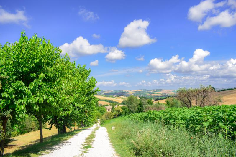 Photos for house 643707