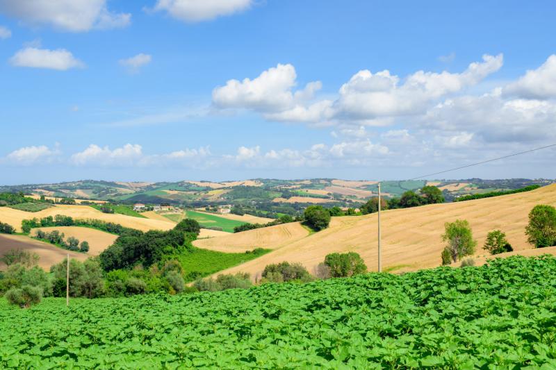 Photos for house 643707